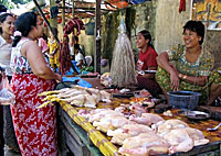 chicken_vendor_B_200px.jpg chicken_vendor_B_200px.jpg