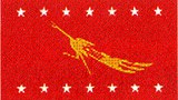 88_generation_party_flag_305_z.jpg