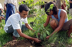 ASSK_65_birthday_plant_grow_305px.jpg