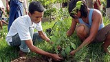 ASSK_65_birthday_plant_grow_305px.jpg