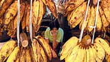 banana_stall_305px.jpg