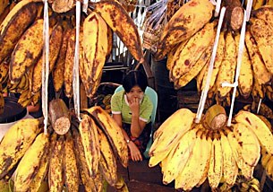 banana_stall_305px.jpg banana_stall_305px.jpg