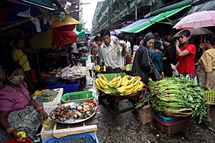 bazaar_market_poverty_305_z.png bazaar_market_poverty_305_z.png