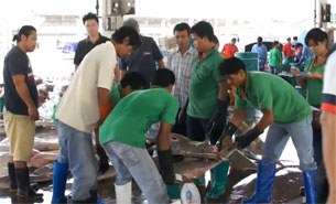 bur_migrant_labor_fishmarket_305_z