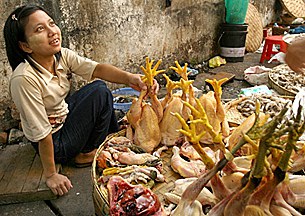 chicken_seller_305px.jpg chicken_seller_305px.jpg