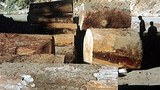 china_border_log_305px.jpg