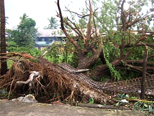 cyclone_giri_trees_kyaukphyu_305_z.png cyclone_giri_trees_kyaukphyu_305_z.png
