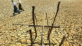 dried_earth_305px.jpg