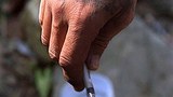 drug_syringe_305_z.jpg