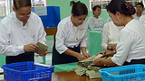 election_vote_count_305_z.png