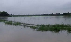 farm-flood-b305 farm-flood-b305