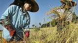 farmers-305.jpg