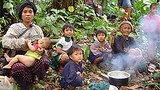 idp_in_jungle_305_z.jpg