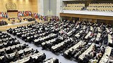 ilo_conference_305_z