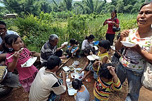 kokang_homeward_lunch_305px.jpg kokang_homeward_lunch_305px.jpg