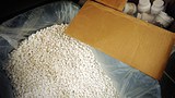 methamphetamine_pills_305px.jpg