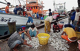 migrant_workers_A_305px.jpg migrant_workers_A_305px.jpg