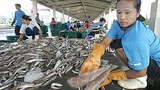 migrants_phuket_305px.jpg