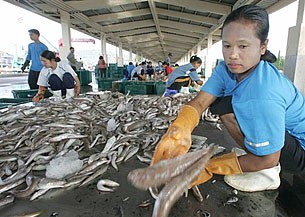 migrants_phuket_305px.jpg migrants_phuket_305px.jpg