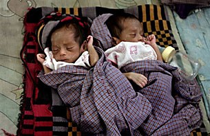 nargis_babies_A_305px.jpg nargis_babies_A_305px.jpg