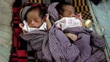 nargis_babies_A_305px.jpg