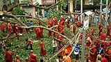 nargis_monks_305px.jpg