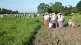 padung-farmers-b305