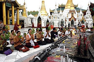 pagoda_prayers_305px.jpg pagoda_prayers_305px.jpg