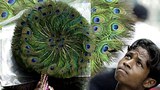 peacock_fan_vendor_305px.jpg