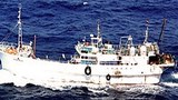 pirate_ship_305px.jpg