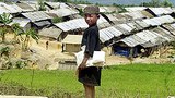 rohingya_camp_305px