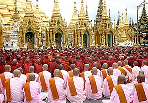saffron_shwedagon_305_z.jpg saffron_shwedagon_305_z.jpg
