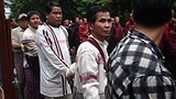 saffron_zomi_305px.jpg