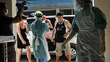 swine_flu_indonesia_305px.jpg