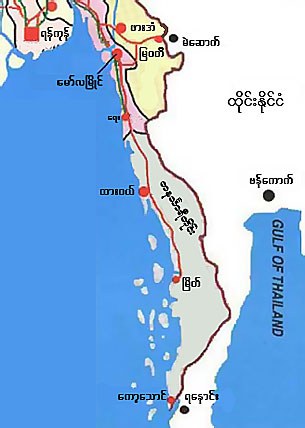 taninsari_div_305_z.jpg
