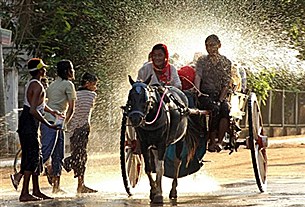 thingyan_horse_cart_305px.jpg