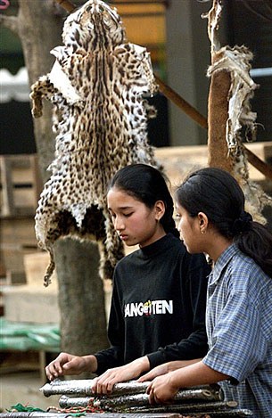 tiger_skin_305px.jpg