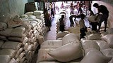 warehouse_305px.jpg