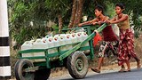 water_cart_305px.jpg