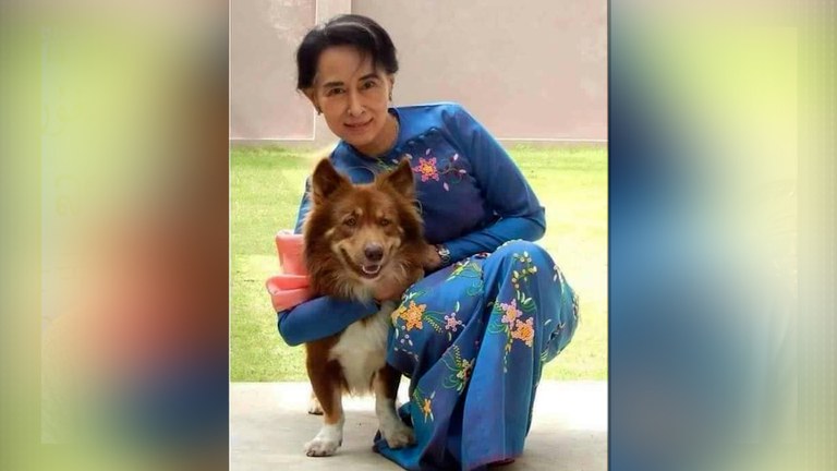 ဒေါ်အောင်ဆန်းစုကြည်နှင့် အချစ်တော်ခွေးကလေး တိုက်ချီဒိုတို့ကို နေပြည်တော်က နေအိမ်မှာတွေ့ရစဉ်။ (Undated Photo - Citizen Journalist)