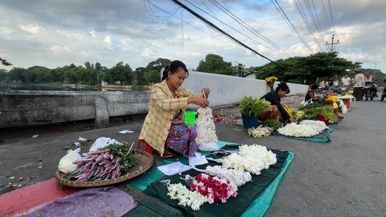 ပန်းရုံများမှ ဆွတ်ခူးသီကုံးထားသည့် ပန်းများအား ရောင်းချနေသော တလိုင်းဆင်ရွာမှ ပန်းစိုက်တောင်သူတစ်ဦး။ (Photo: RFA)