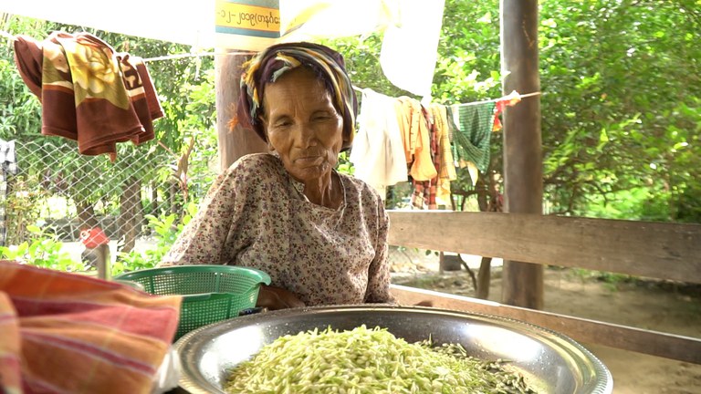 ဆွတ်ခူးထားသည့် ဇွန်ပန်းများနှင့်အတူတွေ့ရသည့် တလိုင်းဆင်ရွာမှ ပန်းစိုက်တောင်သူတစ်ဦး။ (Photo: RFA)