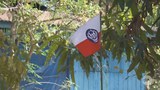 aa-flag-622