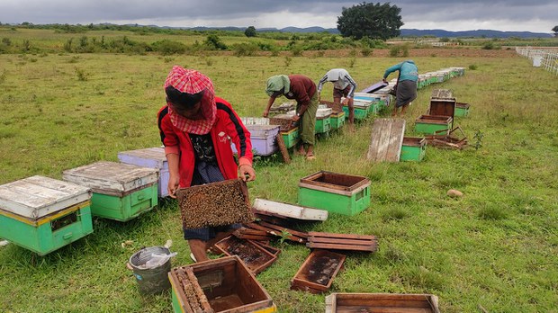 beekeeping.jpg beekeeping.jpg