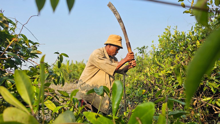 ထင်းခုတ်ပြီး အသက်မွေးဝမ်းကျောင်းပြုနေသည့် ဦးမြင့်စိုးအား ၂၀၂၄ ခုနှစ်၊ မတ်လ ၂၂ ရက်နေ့က တွေ့ရစဉ်။ (Photo RFA)
