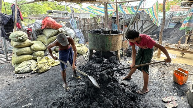 သစ်တောပြုန်းတီးမှုကို လျှော့ချပေးတဲ့ လောင်စာလုပ်ငန်း သစ်တောပြုန်းတီးမှုကို လျှော့ချပေးတဲ့ လောင်စာလုပ်ငန်း