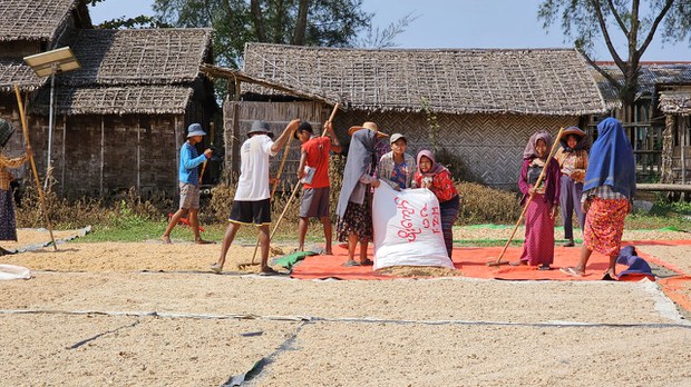 စက်သုံးဆီအခက်အခဲကြောင့် ဖျာပုံမြို့နယ်က ရေလုပ်ငန်းတွေထိခိုက် စက်သုံးဆီအခက်အခဲကြောင့် ဖျာပုံမြို့နယ်က ရေလုပ်ငန်းတွေထိခိုက်