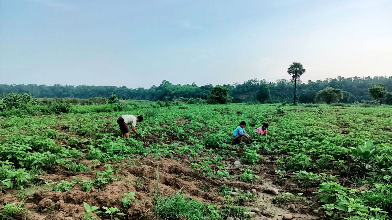 မကွေးတိုင်း၊ ဂန့်ဂေါမြို့နယ်က ဒေသခံတောင်သူအချို့အား ၂၀၂၃ ခုနှစ်၊ ဇူလိုင်လ ၁၀ ရက်နေ့က တွေ့ရစဉ်။ (Photo: RFA)