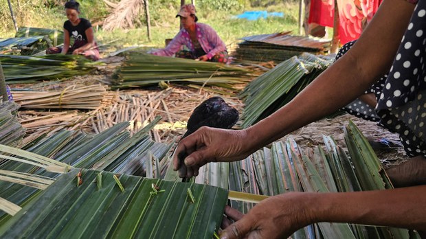 ဘိုကလေးမြို့နယ်က ဓနိခြံတွေမှာ လုပ်သားရှားပါးမှုနဲ့ ရင်ဆိုင်နေရ