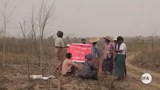 farmer-622